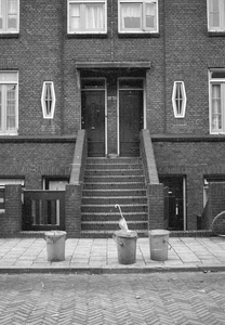69037 Gezicht op een gedeelte van de voorgevels van de huizen Potgieterstraat 36-38 te Utrecht; de ingangspartij met ...